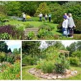Gardeners in Temple Normanton, Ambergate and Chesterfield, clockwise from top, will open their gates to the public in return for donations to the National Garden Scheme which supports health charities.