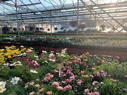 Glapwell Nurseries, Glapwell Ln, Glapwell, Chesterfield S44 5PY. Rating: 4.6/5 (based on 633 Google reviews)