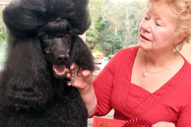 Gill Newton of Brimington with her Crufts winning poodle in 2009.