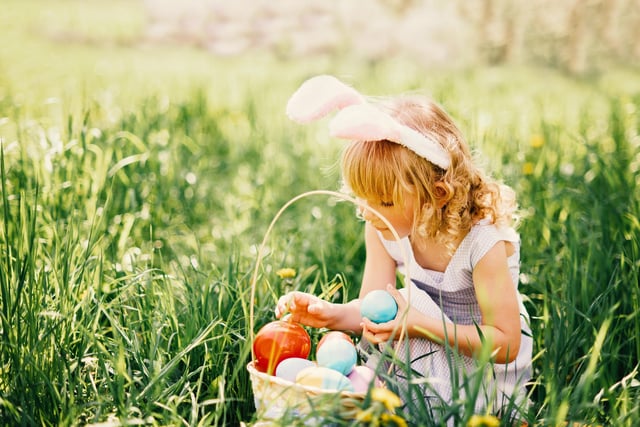 Take part in an Easter egg hunt from April 1 to 16 and explore the beautiful garden at Hardwick Hall. Price is £3 per trail which includes an Easter trail sheet, pencil, bunny ears and a chocolate egg, or vegan and free from  chocolate egg. Visit www.nationaltrust.org.uk (generic photo: Adobe Stock/Serenko Natalia