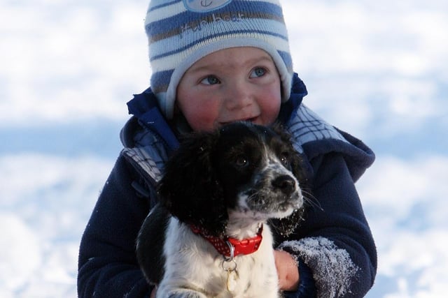 Two-year-old Jack Allsop-Smith of Matlock and his new puppy Moll have fun in the town's snow-covered Hall Leys Park in 2010.