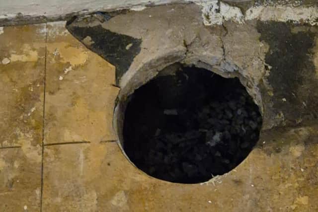 One of the holes in found in the property.