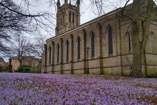 Chesterfield's Holy Trinity Church will celebrate its second Crocus Festival on Saturday, February 25,  by welcoming visitors from 10am to 4pm (photo: Roger Green)