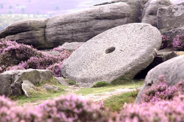 A millstone is surrounded by heather on Surprise View above Hathersage.