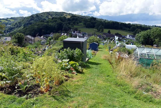 The allotments at Starkholmes, near Matlock, have been feeding families in the community for a century.
