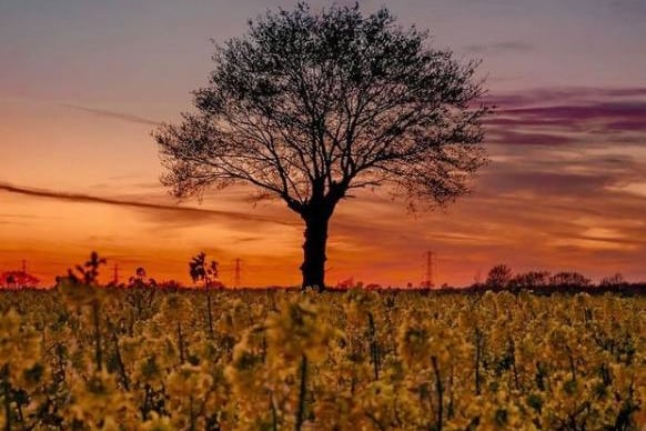 Beautiful sunset colours in Doncaster. From @david8photography