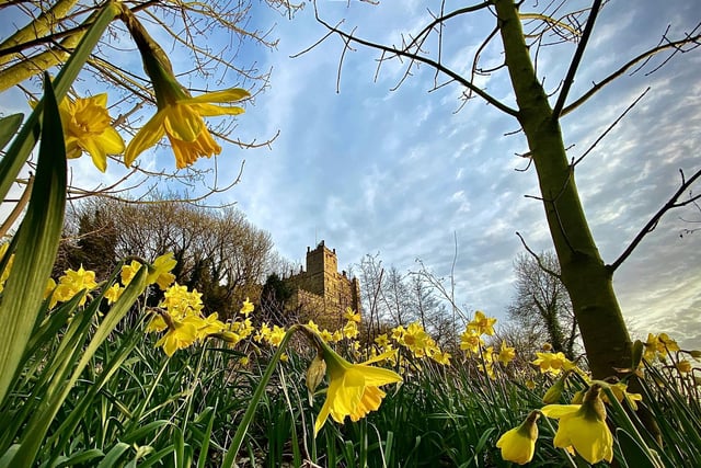 A beautiful market town, Bolsover is a fantastic part of Derbyshire with a strong community feel. Home to Bolsover Castle, seen here, and close to Hardwick Hall, the area has a rich history with plenty to explore. For first time buyers and young families, Bolsover could be the perfect location to buy your first property.  Image: Derbyshire Times