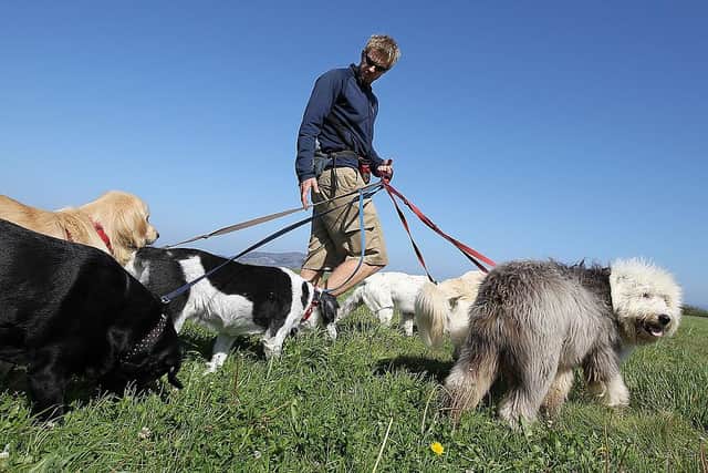 How would a "France style lockdown" impact dog walkers in the UK? (Photo by Justin Sullivan/Getty Images)