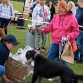 Dog of the day Hardwick, with proud owner Trina Mant holding his rosette,  inspects his prize hamper of goodies.