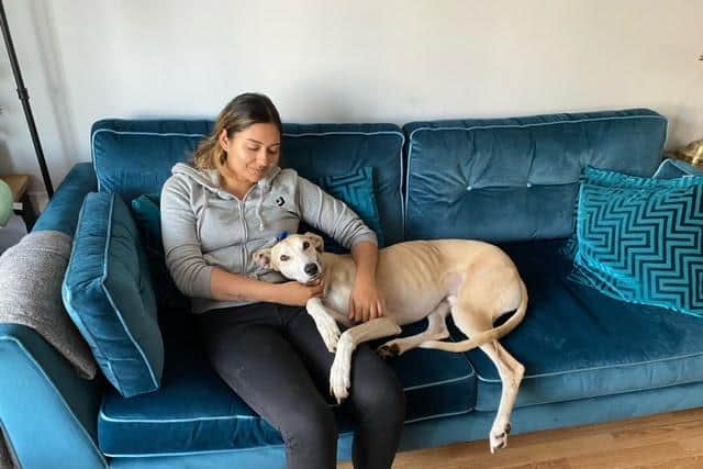Scooby, who has the canine equivalent of IBS in humans, gets a cuddle from his new owner Kiron Montford.