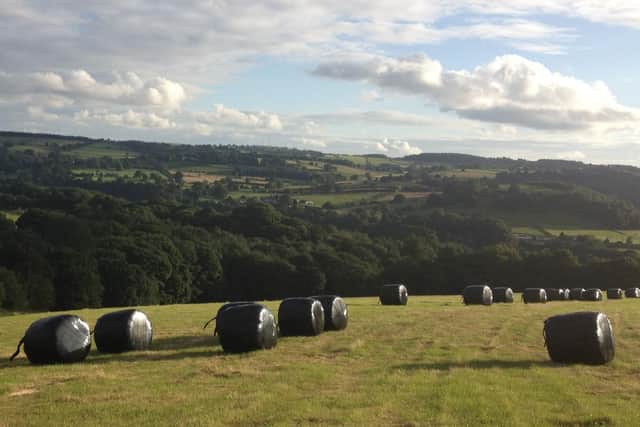 The sustainable farm diversification project is located near Wakebridge, north-west of Crich. (Photo: National World)