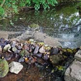 Polluted river Amber at Ashover