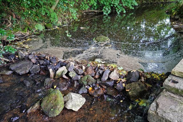 Polluted river Amber at Ashover