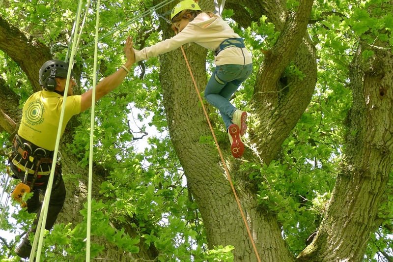Take part in a big tree climb at Stand Wood, near the farmyard at Chatsworth, from August 12 to 16. This great family activity enables eight people to climb at a time and tests balance and co-ordination. Not only will you get close to nature but you'll enjoy a great view from the top of the tree. Climbs will be led by a fully qualified instructor from the Great Big Tree Climbing Company. The big tree climb is suitable for six years and upwards and costs £25 per person. Book online at www.chatsworth.org/events/big-tree-climb/