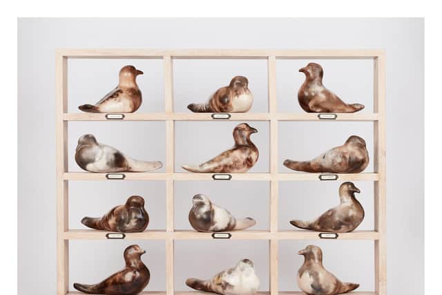 Are We Zooming Tonight?, the collection of ceramic pigeons, made by Vivienne Sillar. Photo by Ian Daisley