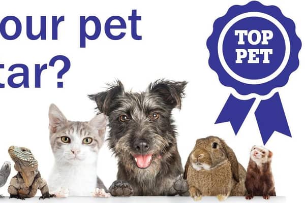 Is your pet a 'Top Pet 2021' contender?