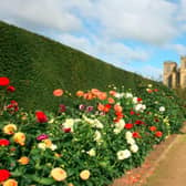 Hardwick Hall's garden looks particularly stunning during the spring/summer season with its vibrant flowers. Photo by National Trust.