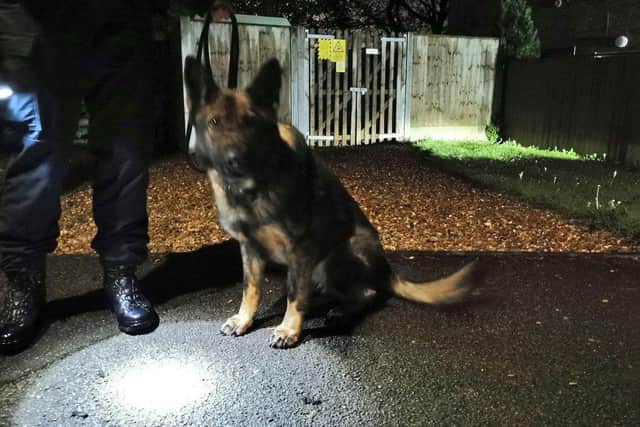 Derbyshire police dog Skye helped to track down a vehicle theft suspect.