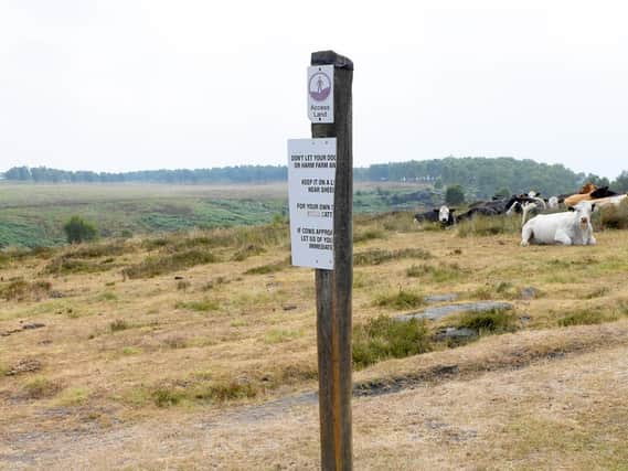 Vandalised signs at the farm. Pictures submitted by Eileen Langsley.