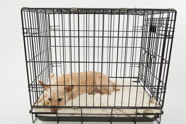 An enclosure for  domestic animals to keep them safe from predators or stop them trashing the house while you're out.