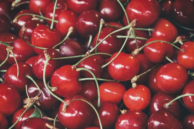 Stones and pits in apricots, cherries, plums and peaches contain deadly cyanide.Larger stones could be a choking hazard.
