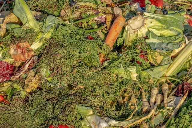Garden compost heaps will usually be packed full of mouldy food and waste, which can produce dangerous mycotoxin.  Use a proper bin or barriers to stop your pet raiding the pile.