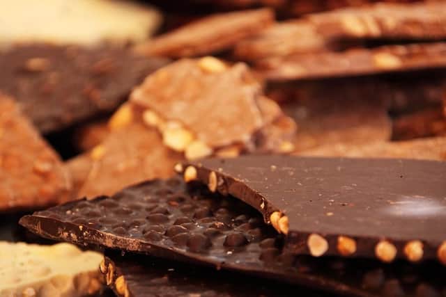 This is the one human food most Brits know dogs shouldnt consume and dark chocolate is even worse than the milkier variety.