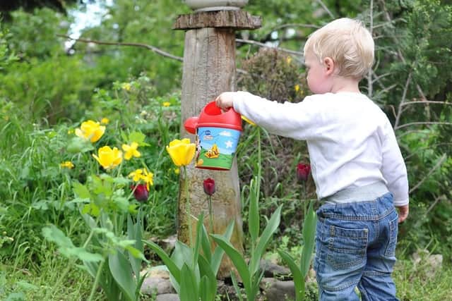 Purchasing a smaller watering can fit for children can be a worthwhile investment. Making them responsible for certain pots or a specific area can catch their imagination.