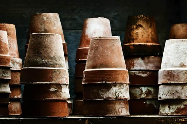 Give plant pots a new lease of life by painting them with interesting designs and complementary colours.