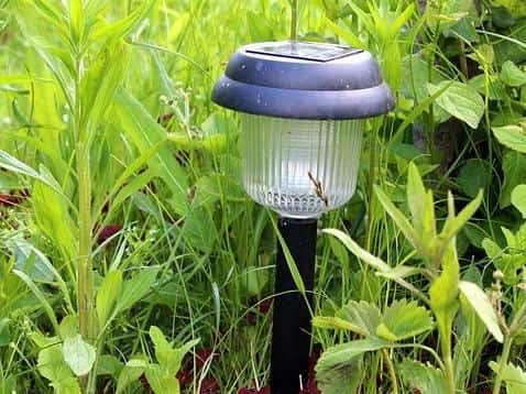 Solar powered lights store up energy from the sun throughout the day so they won't cost you a penny at night.