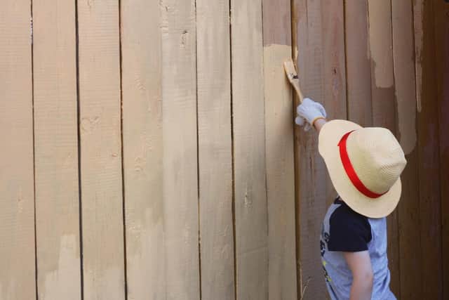 Sand down your fences and give them a lick of paint.