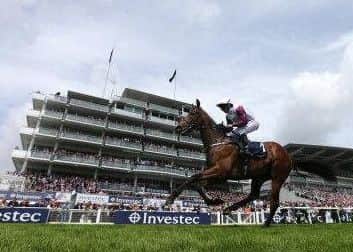 Cosmic Law bolts up at Epsom's Derby meeting. Now he is heading for Royal Ascot.