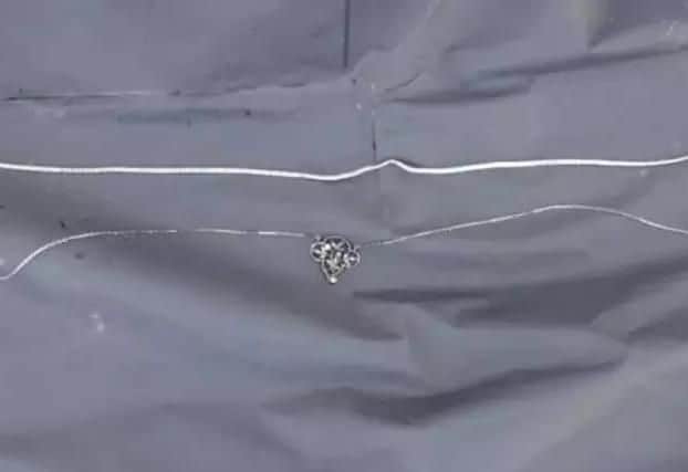 The two necklaces she was found wearing