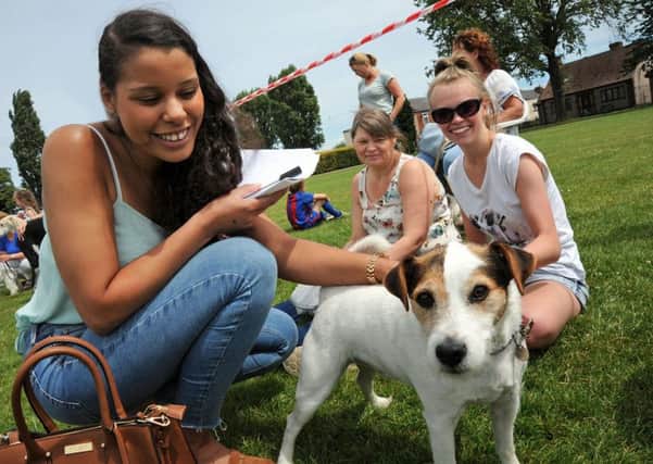 Rebecca Loew-Morgan, a vet at the Riverside practice in Belper and a judge at the RSPCA's Fun Dog Show, takes a look at Parsons Jack Russell, Archie, to see if he is the dog she would 'most want to take home'