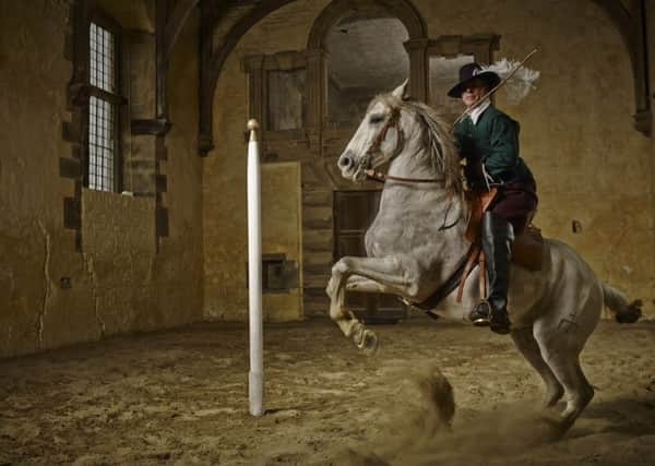 Bolsover Castle horses. Photo by Glen Burrow for English Heritage.