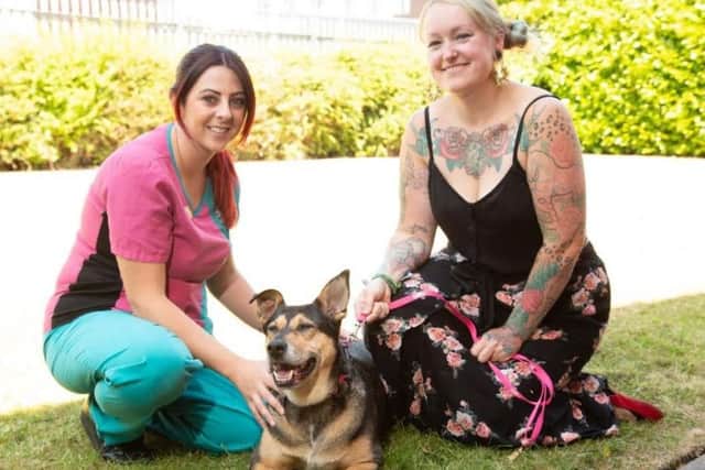 Scrabble, 12, pictured with owner Collette and vet nurse Kaya.