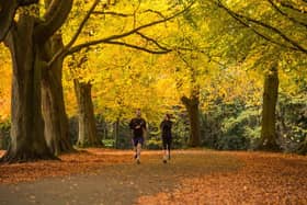 A jogger runs under deciduous trees in Clifton, Bristol.