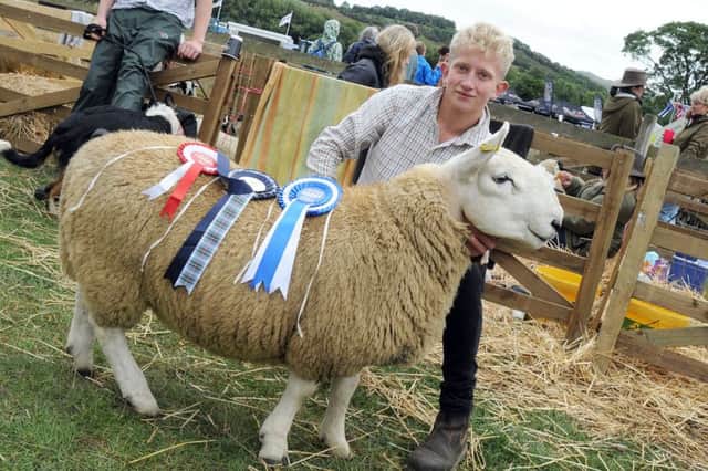Hope Show.
Jack Webster with his prize winning North Country Cheviot.