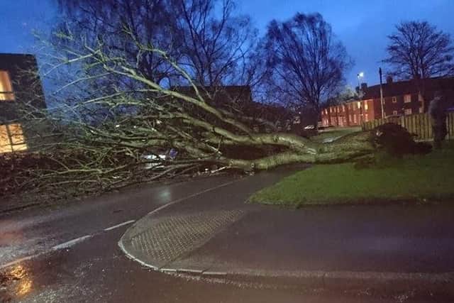 Journeys by road, rail and air are likely to be disrupted and the conditions could also damage buildings, lead to power cuts and blow over trees.
