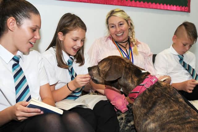 Shirebrook Academy Therapy dog Bella
Bella sits at the feet of year 7 pupils during their time with Academy Support manager, Helen Dodds.