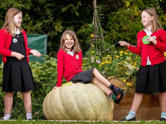 Pupils at Deer Park Primary School with their huge pumpkin.