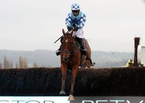 Bun Doran, who could be a big fancy for the Festival next March after this win on the opening day of Cheltenham's November meeting.
