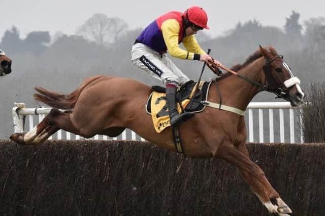 Native River, who went on to win the Cheltenham Gold Cup after his success at Newbury.
