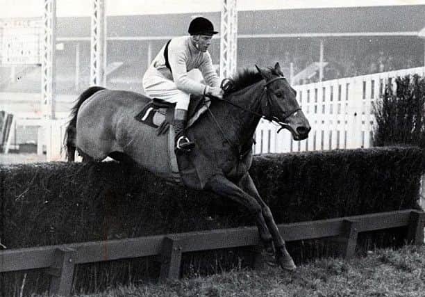 The greatest of them all, Arkle.