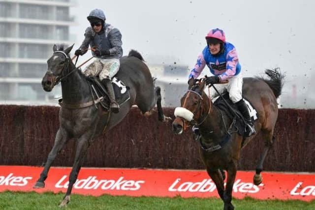 One of the most impressive winners of the two-day meeting, novice chaser Santini (left).