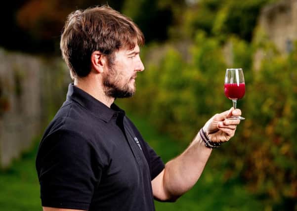 Pictured is Kieron Atkinson, wine maker and vineyard tenant at Renishaw Hall. Picture credit: Charlotte Graham