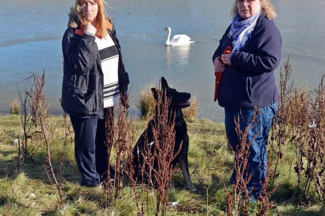 Marie Grainger and Kate Pinborough at the pond of Seymour Link Road Markham Vale, where the dead swan was found.