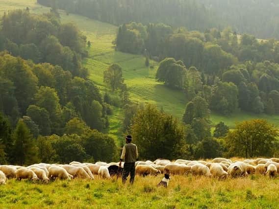 Farming can be a stressful and lonely job. Stock picture.