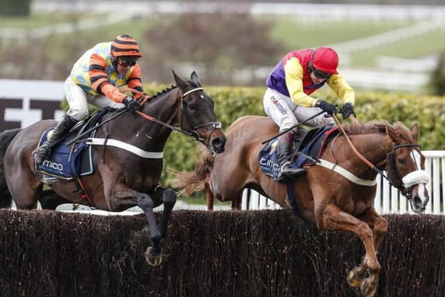 The epic duel between Native River and Might Bite in last season's Cheltenham Gold Cup. But neither horse has been at his best this term (PHOTO BY: Alan Crowhurst/Getty Images)