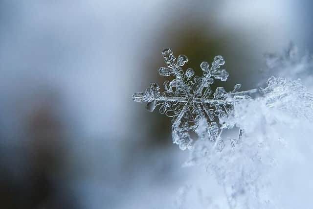 Today's weather forecast.